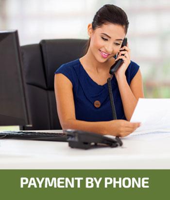 Payment-Phone